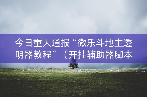 今日重大通报“微乐斗地主透明器教程”（开挂辅助器脚本)