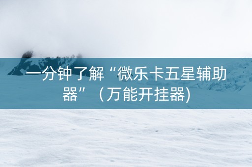 一分钟了解“微乐卡五星辅助器”（万能开挂器)