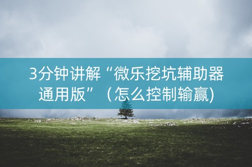 3分钟讲解“微乐挖坑辅助器通用版”（怎么控制输赢)