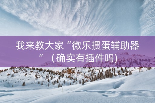 我来教大家“微乐掼蛋辅助器”（确实有插件吗)