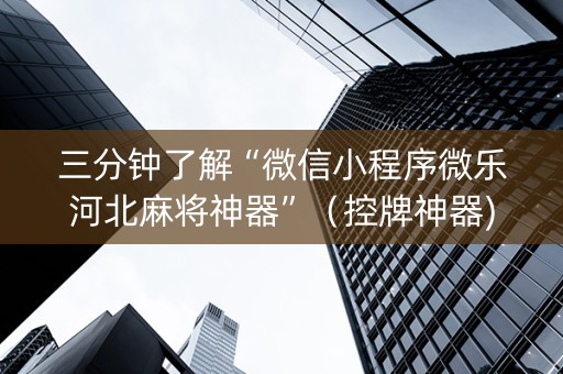 三分钟了解“微信小程序微乐河北麻将神器”（控牌神器)