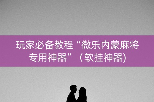 玩家必备教程“微乐内蒙麻将专用神器”（软挂神器)