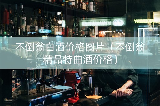 不倒翁白酒价格图片（不倒翁精品特曲酒价格）