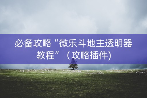 必备攻略“微乐斗地主透明器教程”（攻略插件)