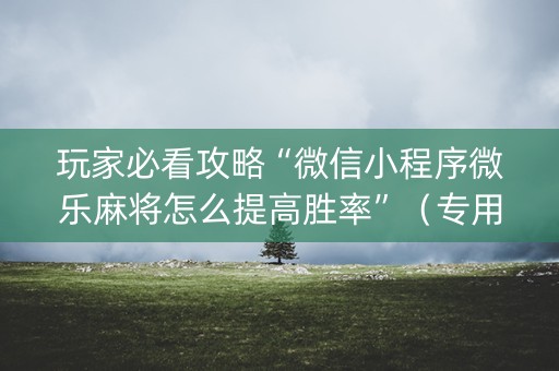 玩家必看攻略“微信小程序微乐麻将怎么提高胜率”（专用神器下载)