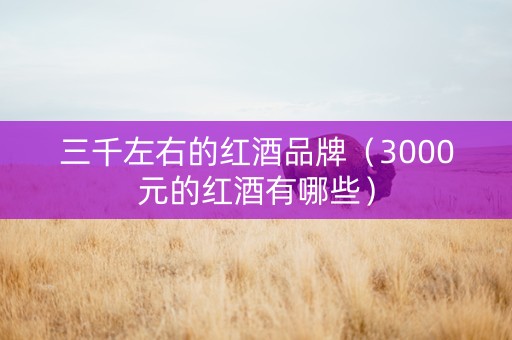 三千左右的红酒品牌（3000元的红酒有哪些）