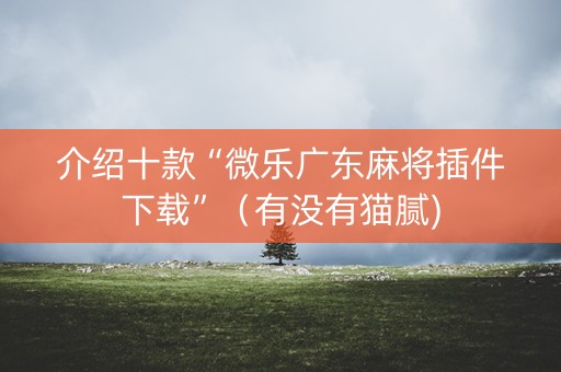 介绍十款“微乐广东麻将插件下载”（有没有猫腻)
