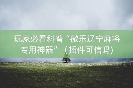 玩家必看科普“微乐辽宁麻将专用神器”（插件可信吗)