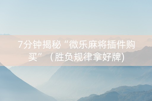 7分钟揭秘“微乐麻将插件购买”（胜负规律拿好牌)