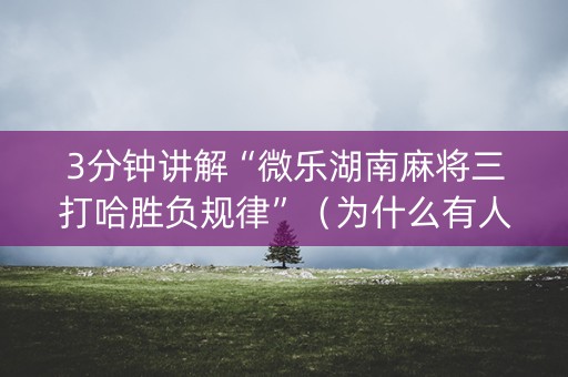 3分钟讲解“微乐湖南麻将三打哈胜负规律”（为什么有人一直赢)