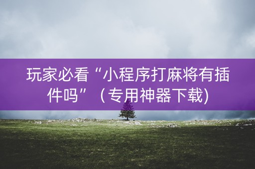 玩家必看“小程序打麻将有插件吗”（专用神器下载)