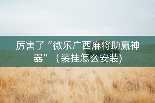 厉害了“微乐广西麻将助赢神器”（装挂怎么安装)