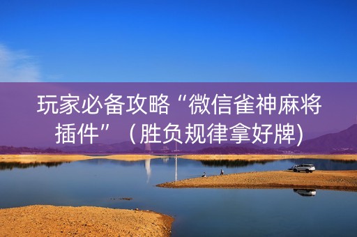 玩家必备攻略“微信雀神麻将插件”（胜负规律拿好牌)