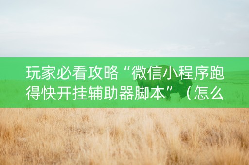 玩家必看攻略“微信小程序跑得快开挂辅助器脚本”（怎么增加胜率)