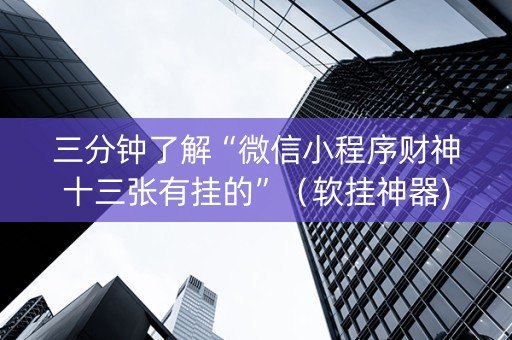 三分钟了解“微信小程序财神十三张有挂的”（软挂神器)