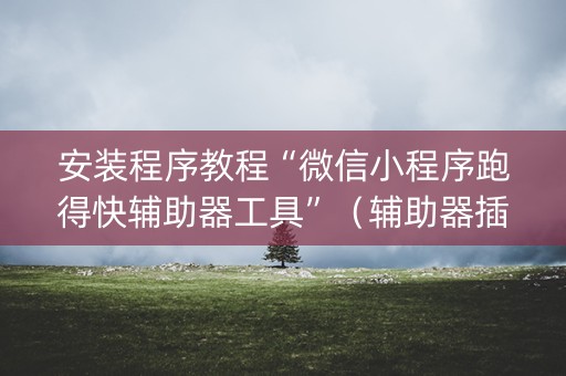 安装程序教程“微信小程序跑得快辅助器工具”（辅助器插件)