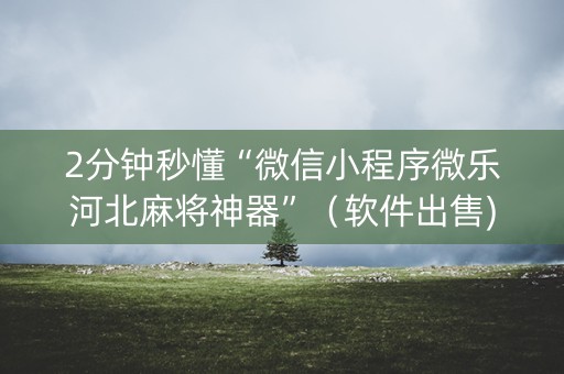 2分钟秒懂“微信小程序微乐河北麻将神器”（软件出售)
