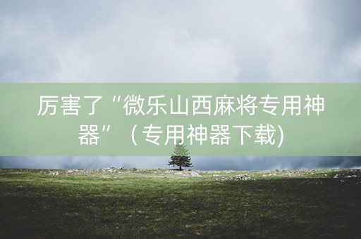 厉害了“微乐山西麻将专用神器”（专用神器下载)