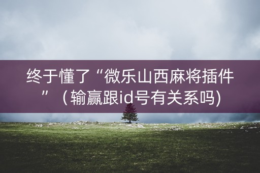 终于懂了“微乐山西麻将插件”（输赢跟id号有关系吗)