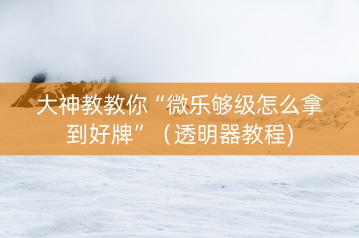 大神教教你“微乐够级怎么拿到好牌”（透明器教程)