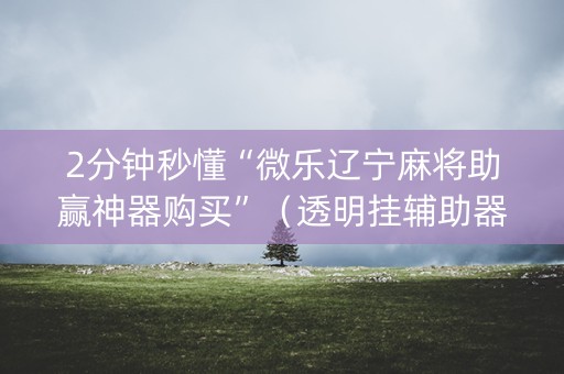 2分钟秒懂“微乐辽宁麻将助赢神器购买”（透明挂辅助器)