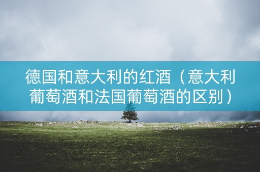 德国和意大利的红酒（意大利葡萄酒和法国葡萄酒的区别）