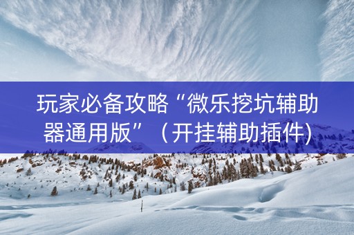 玩家必备攻略“微乐挖坑辅助器通用版”（开挂辅助插件)