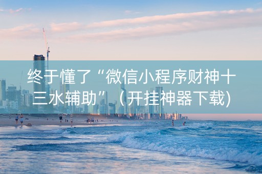 终于懂了“微信小程序财神十三水辅助”（开挂神器下载)