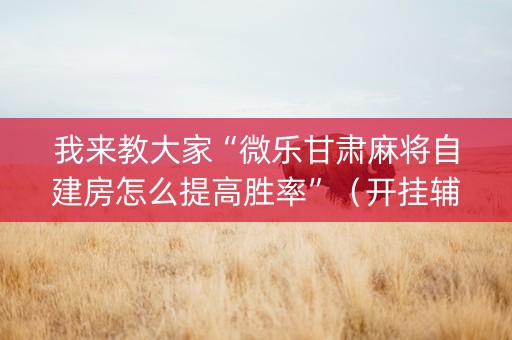 我来教大家“微乐甘肃麻将自建房怎么提高胜率”（开挂辅助插件)