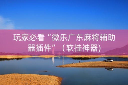 玩家必看“微乐广东麻将辅助器插件”（软挂神器)