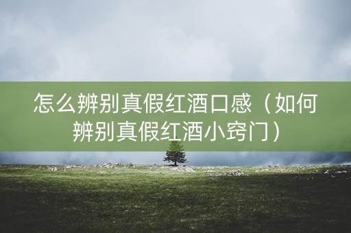 怎么辨别真假红酒口感（如何辨别真假红酒小窍门）