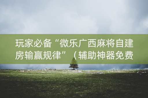 玩家必备“微乐广西麻将自建房输赢规律”（辅助神器免费)