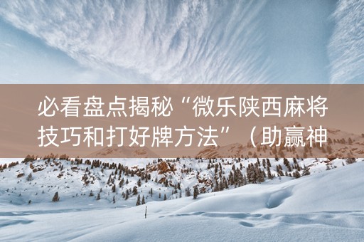 必看盘点揭秘“微乐陕西麻将技巧和打好牌方法”（助赢神器)