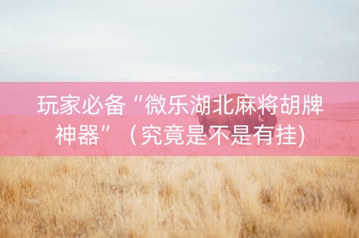 玩家必备“微乐湖北麻将胡牌神器”（究竟是不是有挂)