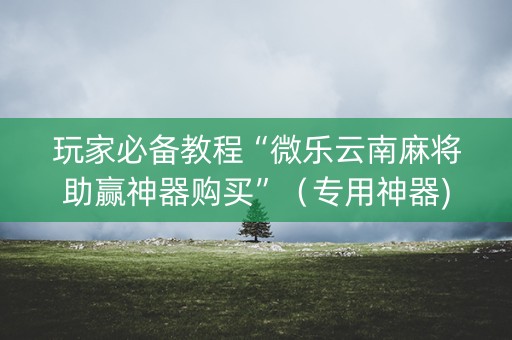 玩家必备教程“微乐云南麻将助赢神器购买”（专用神器)