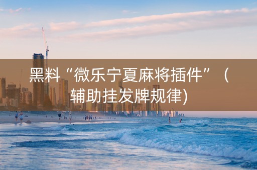 黑料“微乐宁夏麻将插件”（辅助挂发牌规律)