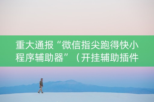 重大通报“微信指尖跑得快小程序辅助器”（开挂辅助插件)