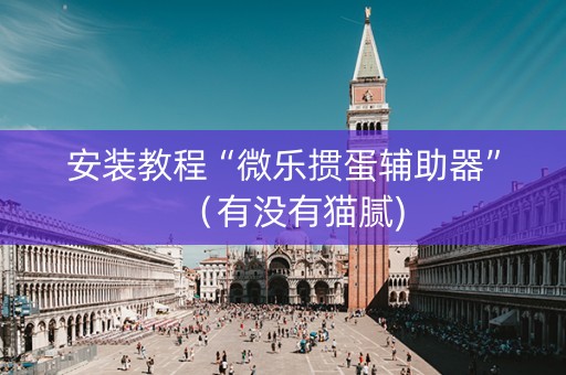 安装教程“微乐掼蛋辅助器”（有没有猫腻)