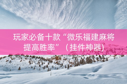 玩家必备十款“微乐福建麻将提高胜率”（挂件神器)