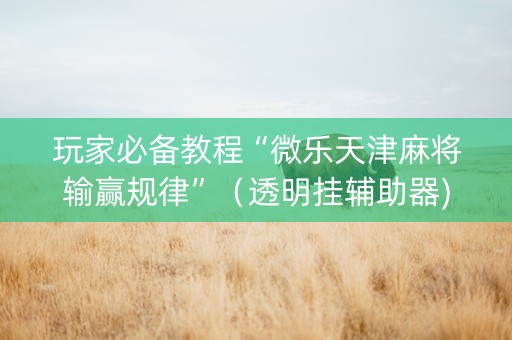 玩家必备教程“微乐天津麻将输赢规律”（透明挂辅助器)