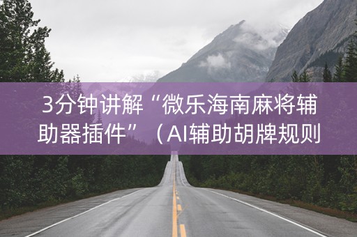 3分钟讲解“微乐海南麻将辅助器插件”（AI辅助胡牌规则)