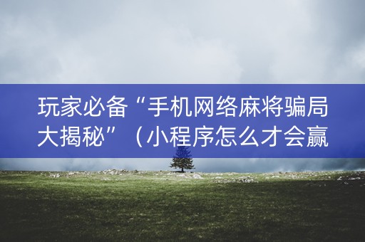 玩家必备“手机网络麻将骗局大揭秘”（小程序怎么才会赢)