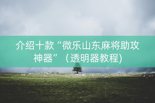 介绍十款“微乐山东麻将助攻神器”（透明器教程)