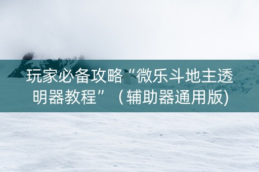 玩家必备攻略“微乐斗地主透明器教程”（辅助器通用版)