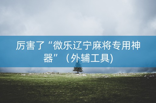 厉害了“微乐辽宁麻将专用神器”（外辅工具)