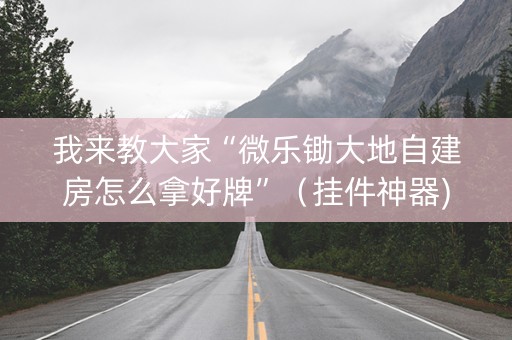我来教大家“微乐锄大地自建房怎么拿好牌”（挂件神器)