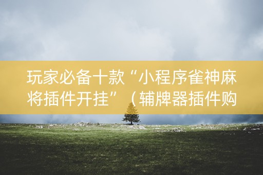 玩家必备十款“小程序雀神麻将插件开挂”（辅牌器插件购买)