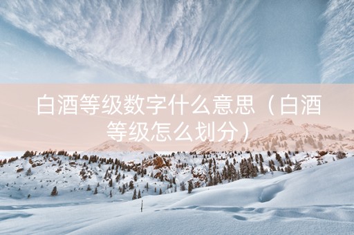 白酒等级数字什么意思（白酒等级怎么划分）