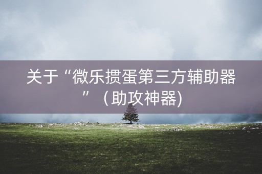 关于“微乐掼蛋第三方辅助器”（助攻神器)