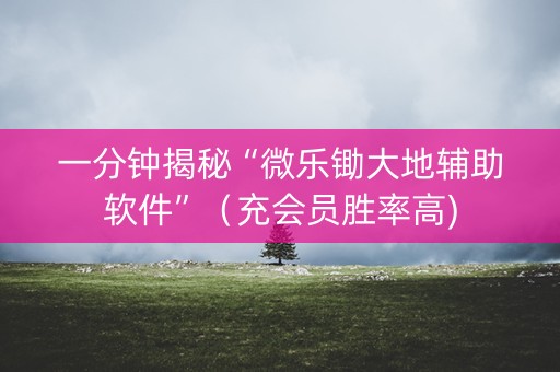 一分钟揭秘“微乐锄大地辅助软件”（充会员胜率高)